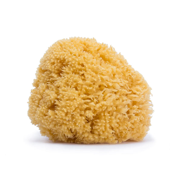 Suavinex - Natural Baby Sea Sponge 0+ 