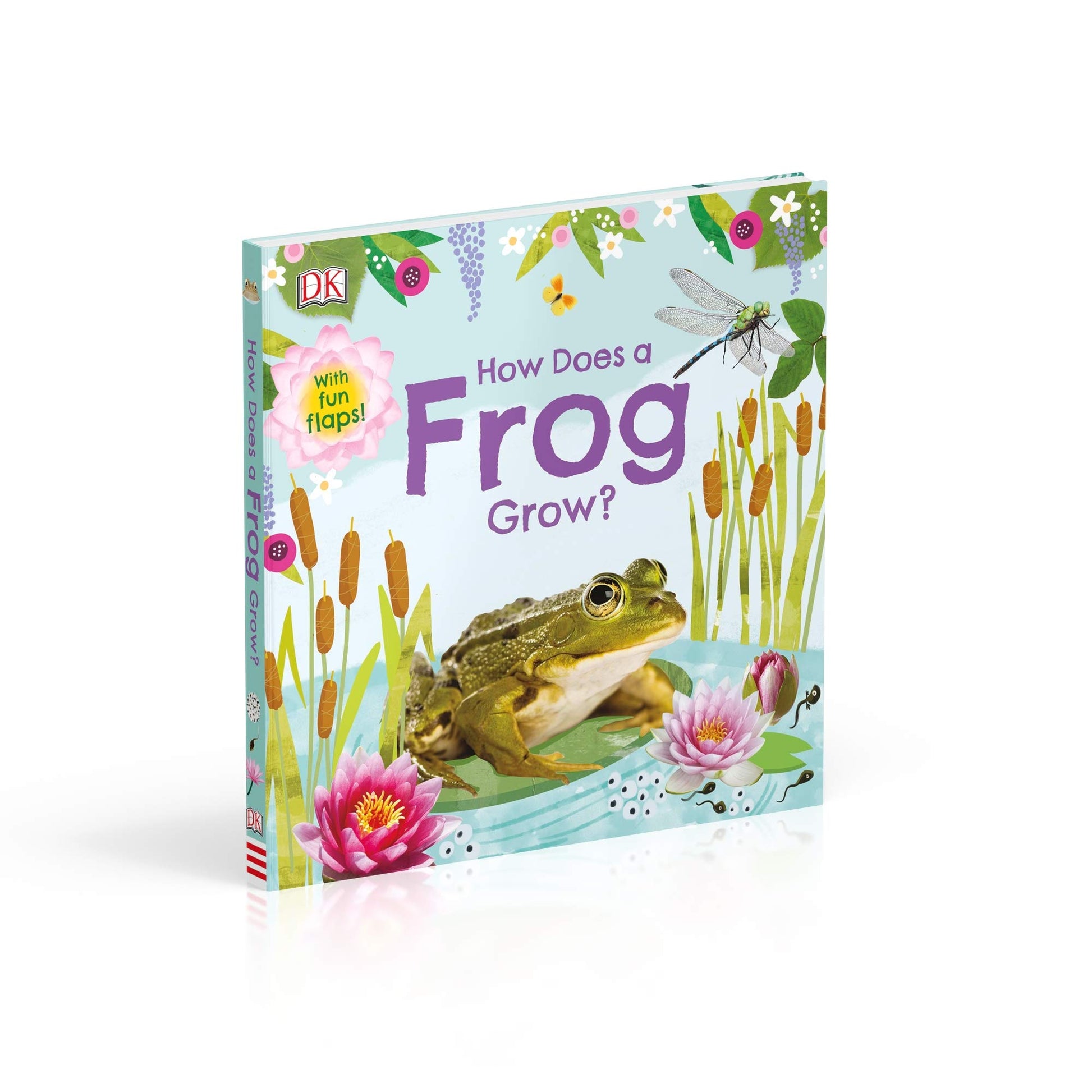 How Does a Frog Grow | 3-5Y How Does a Frog Grow | 3-5Y