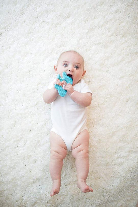 Dr. Brown's Flexees Friends Teether Elephant 3m+ — BambiniJO Jordan