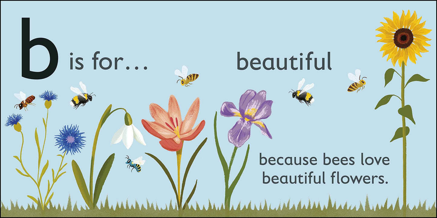 DK - B is for Bee - BambiniJO | Buy Online | Jordan