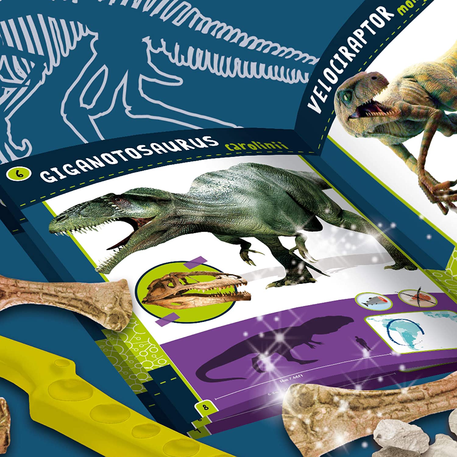 PREDATORS 2 IN 1 7Y+ - BambiniJO | Buy Online | Jordan