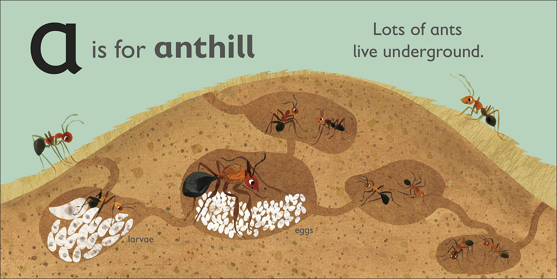 DK - A is for Ant DK - A is for Ant