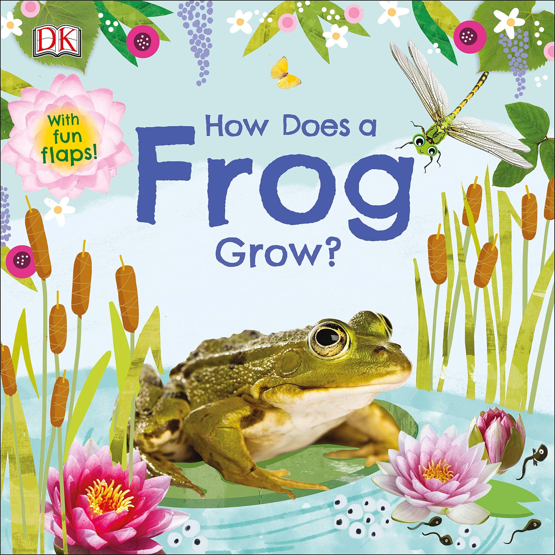 How Does a Frog Grow - BambiniJO