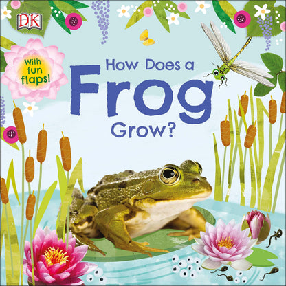 How Does a Frog Grow - BambiniJO
