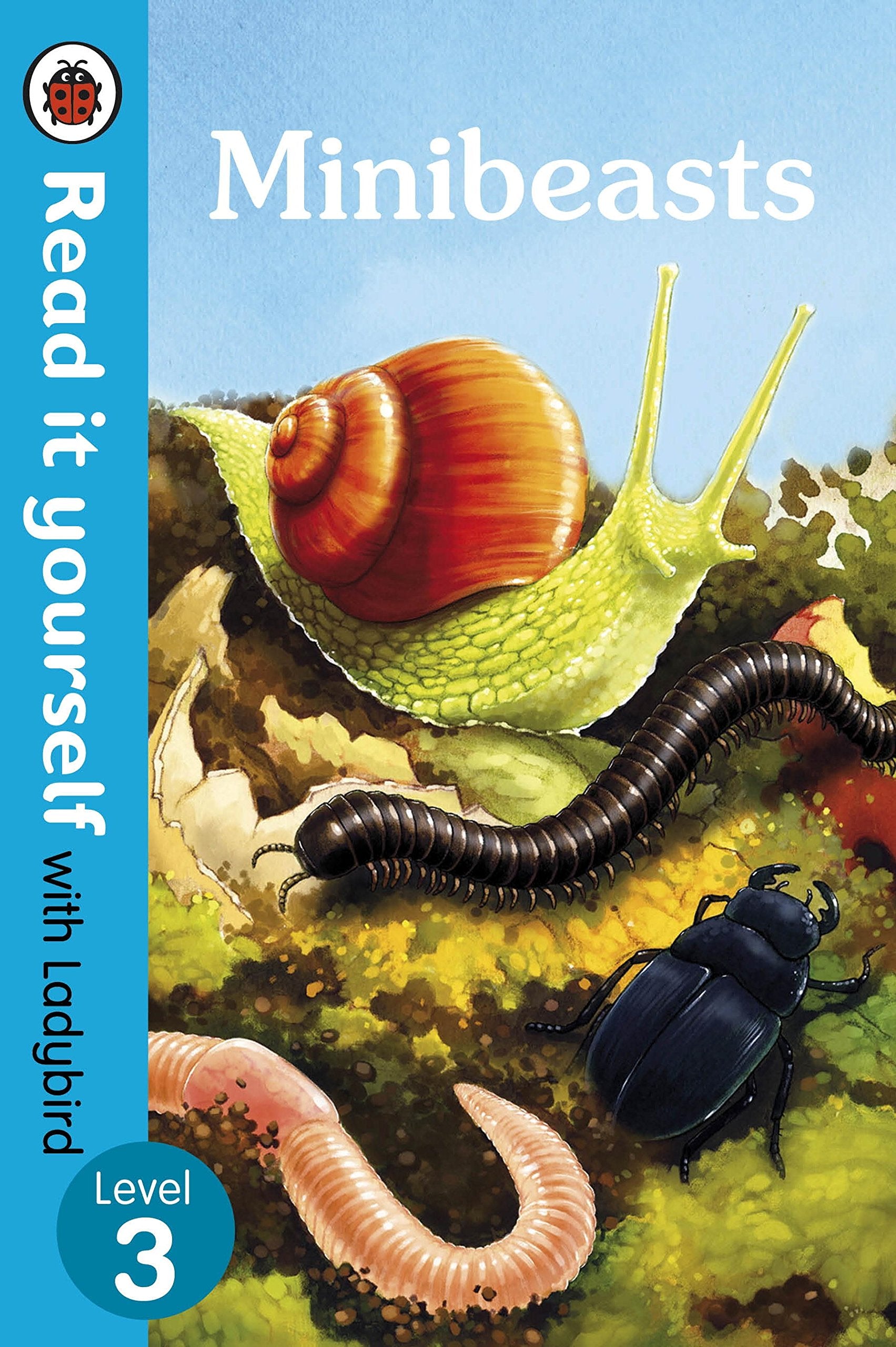 Level 3 - Ladybird - Minibeasts - BambiniJO