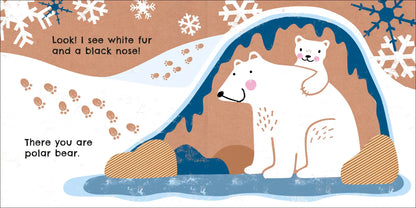 DK - Eco Baby Where Are You Polar Bear? - BambiniJO | Buy Online | Jordan
