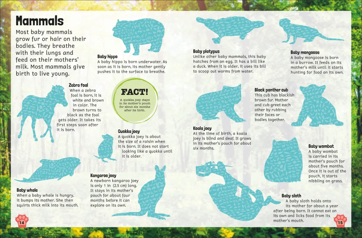 DK - Sticker Encyclopedia Baby Animals DK - Sticker Encyclopedia Baby Animals