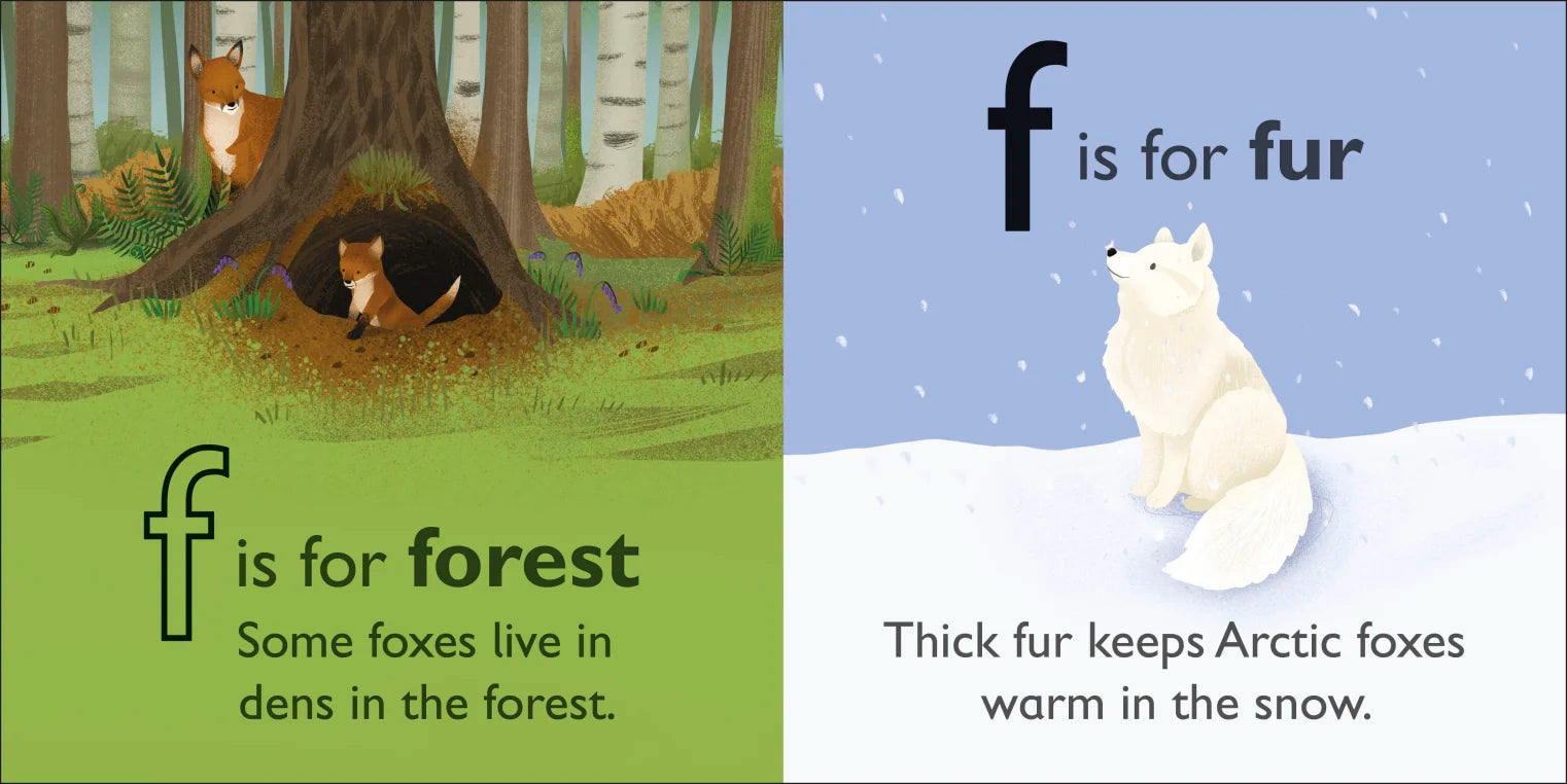 DK - F is for Fox DK - F is for Fox