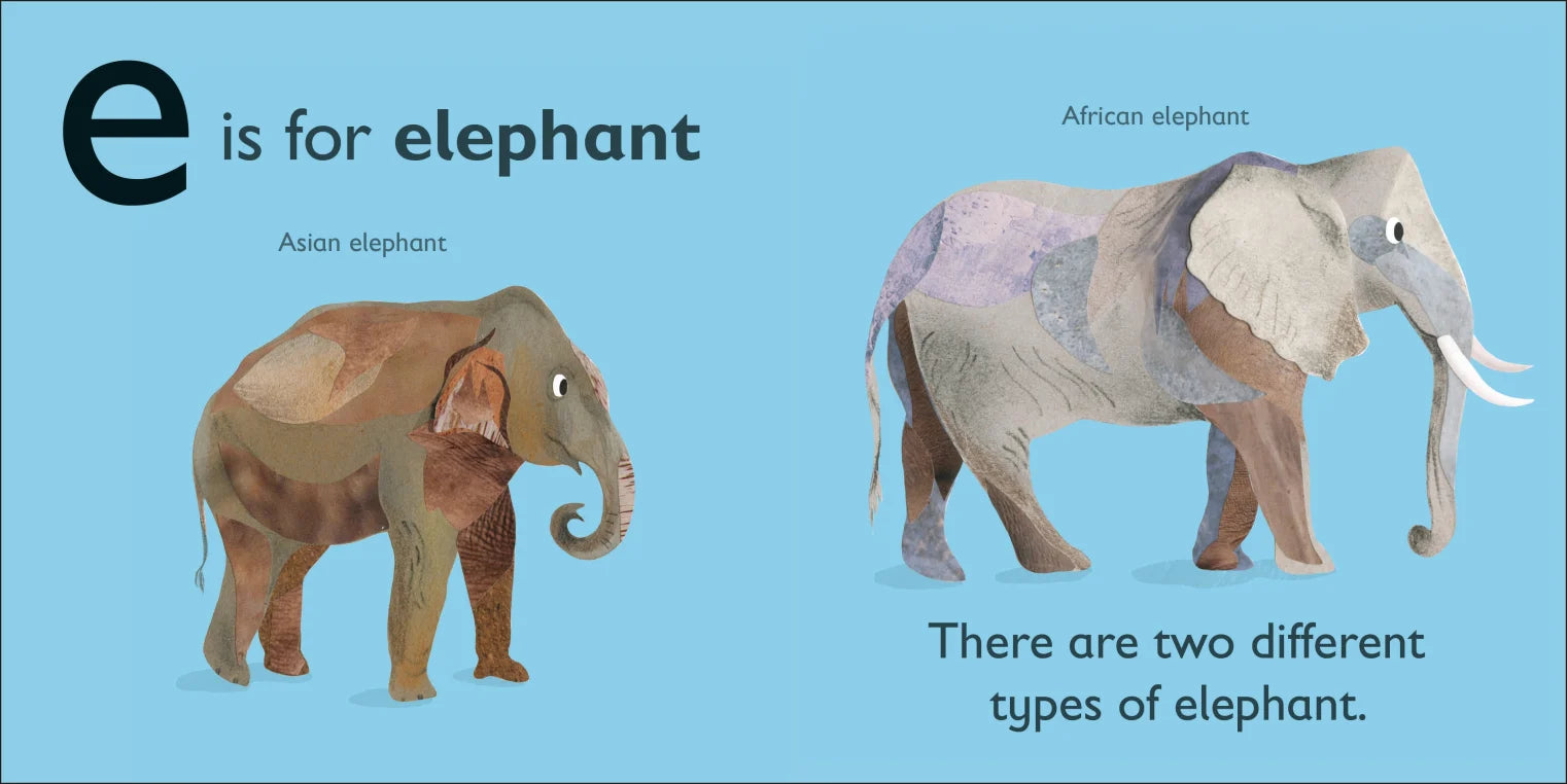 DK - E is for Elephant DK - E is for Elephant