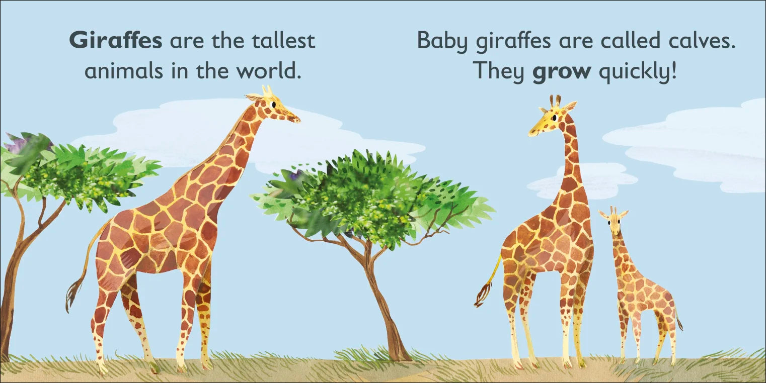 DK - G is for Giraffe DK - G is for Giraffe