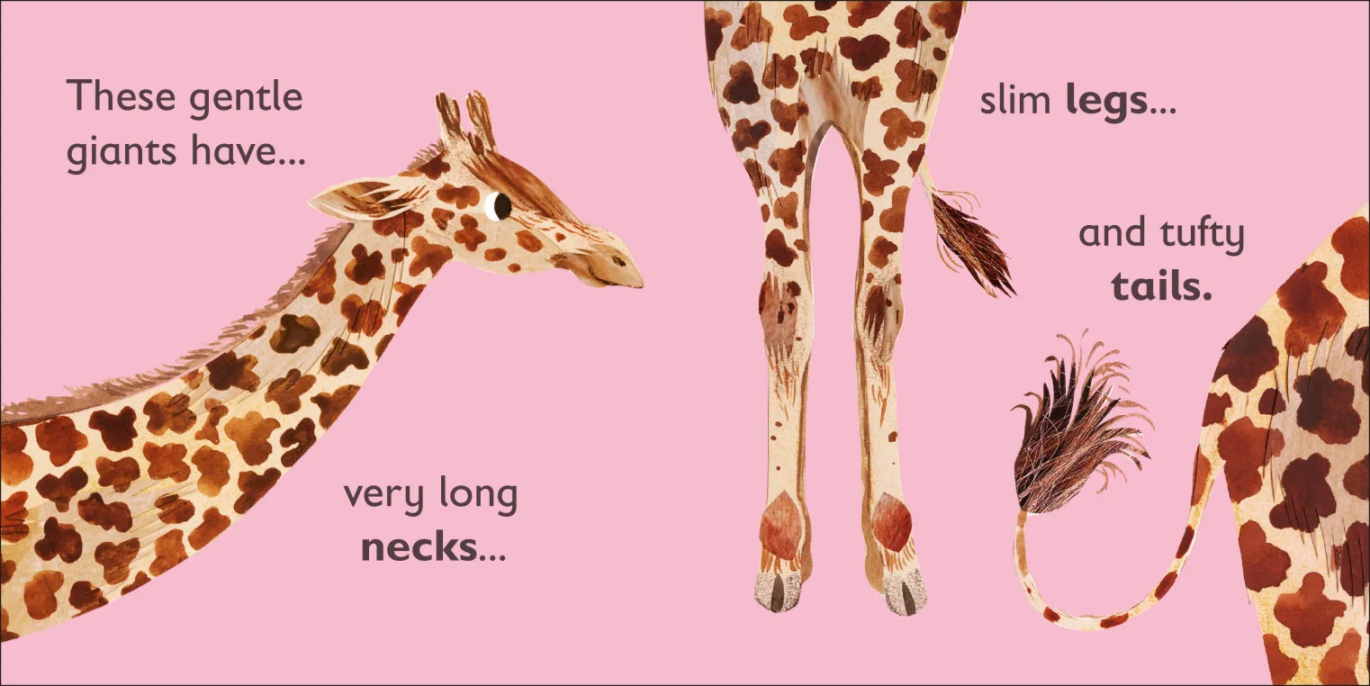 DK - G is for Giraffe DK - G is for Giraffe