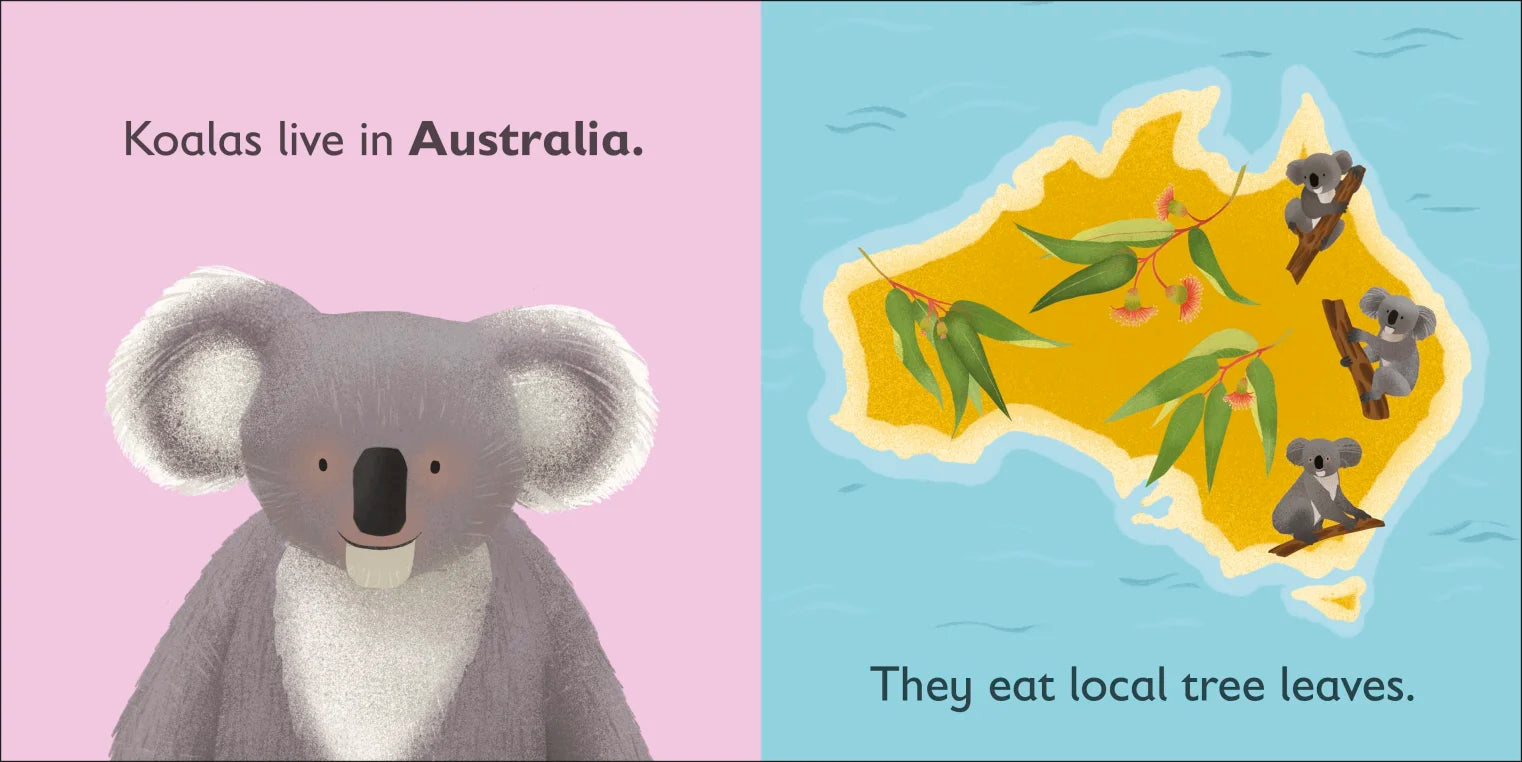 DK - K is for Koala - BambiniJO | Buy Online | Jordan