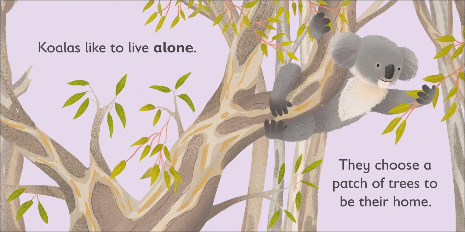 DK - K is for Koala DK - K is for Koala
