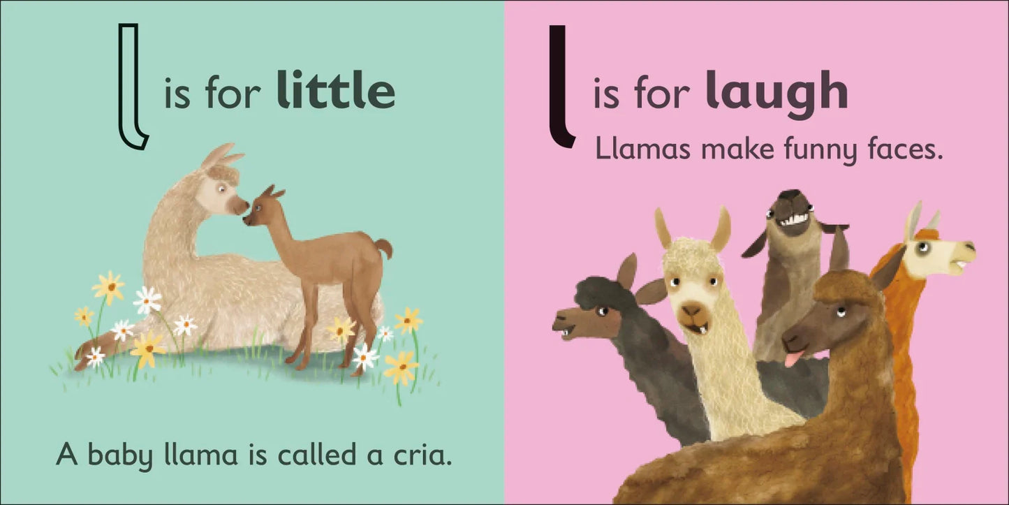 DK - L is for Llama - BambiniJO | Buy Online | Jordan