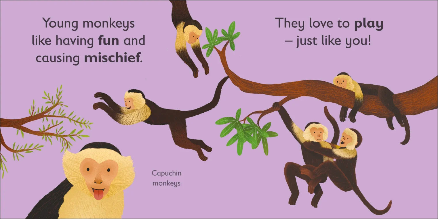 DK - M is for Monkey DK - M is for Monkey