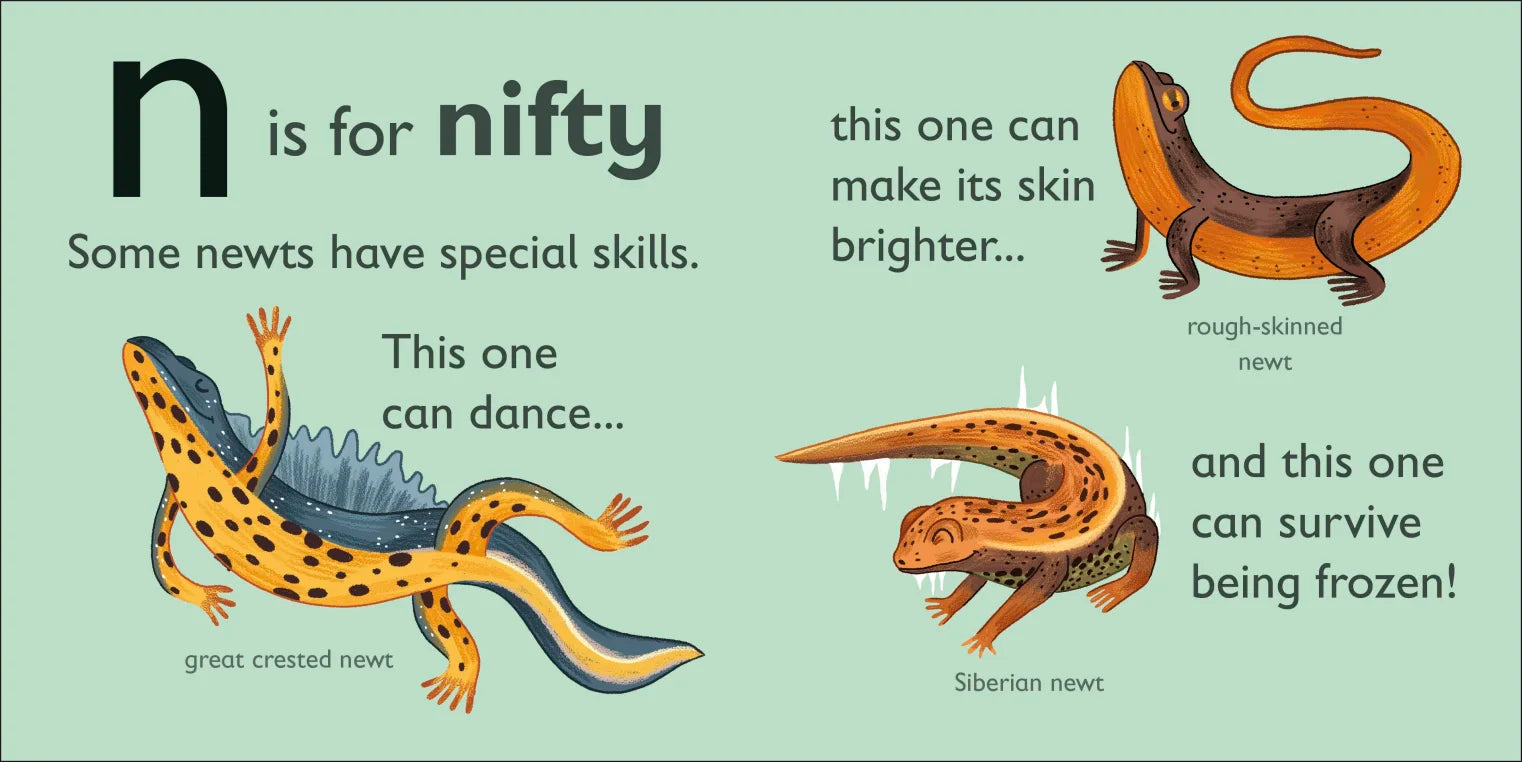 DK - N is for Newt DK - N is for Newt