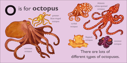 DK - O is for Octopus - BambiniJO | Buy Online | Jordan