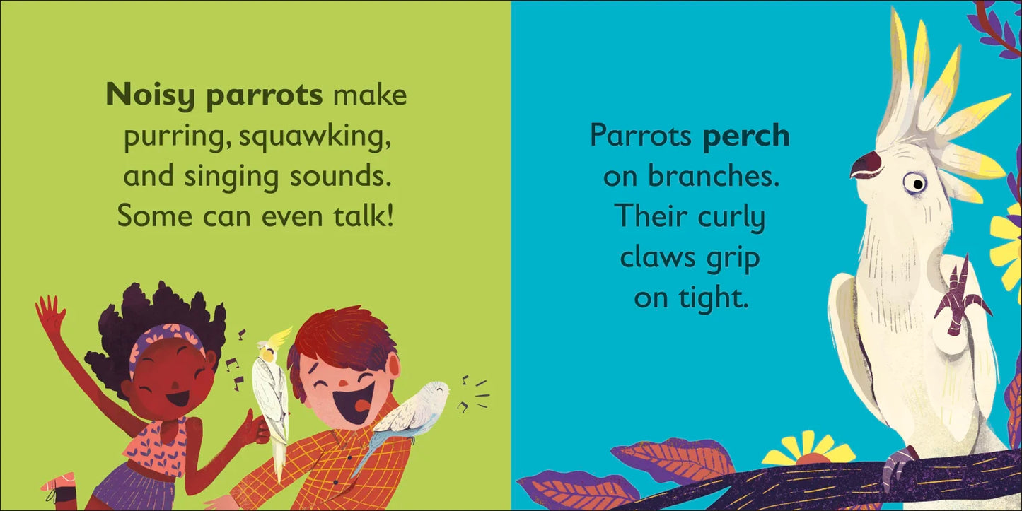 DK - P is for Parrot - BambiniJO | Buy Online | Jordan