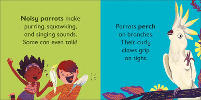 DK - P is for Parrot - BambiniJO | Buy Online | Jordan