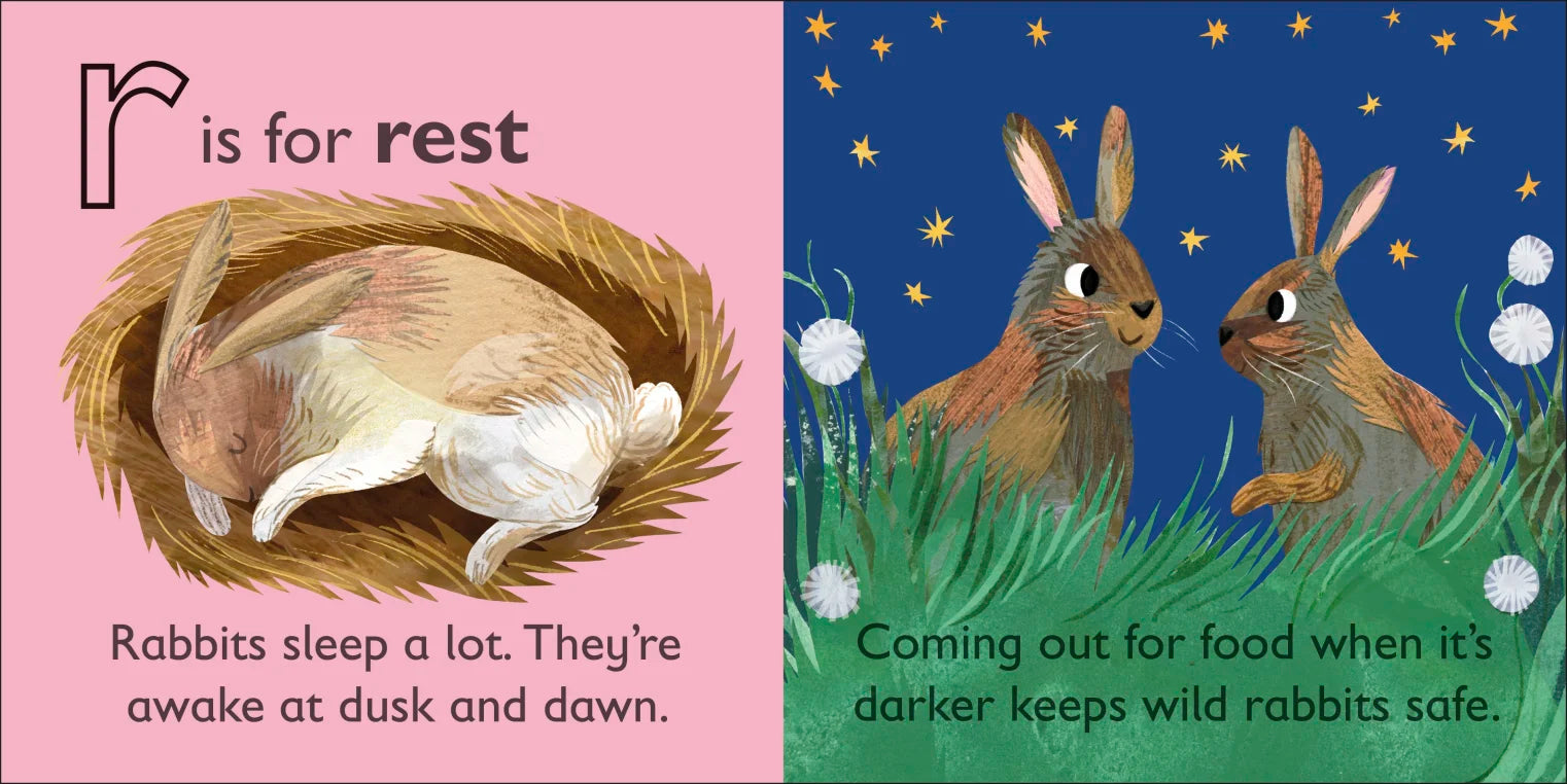 DK - R is for Rabbit DK - R is for Rabbit
