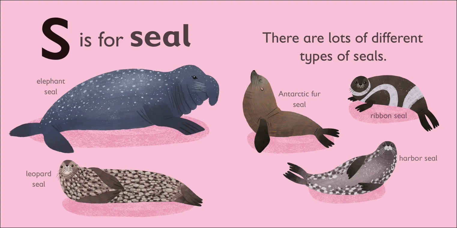 DK - S is for Seal DK - S is for Seal