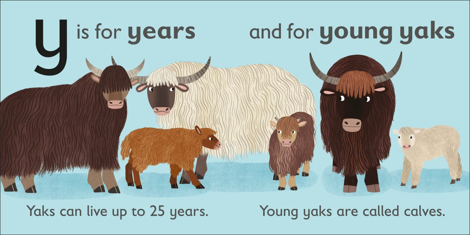 Buy DK - Y is for Yak | BambiniJO | Amman | Fast Delivery Across Jordan