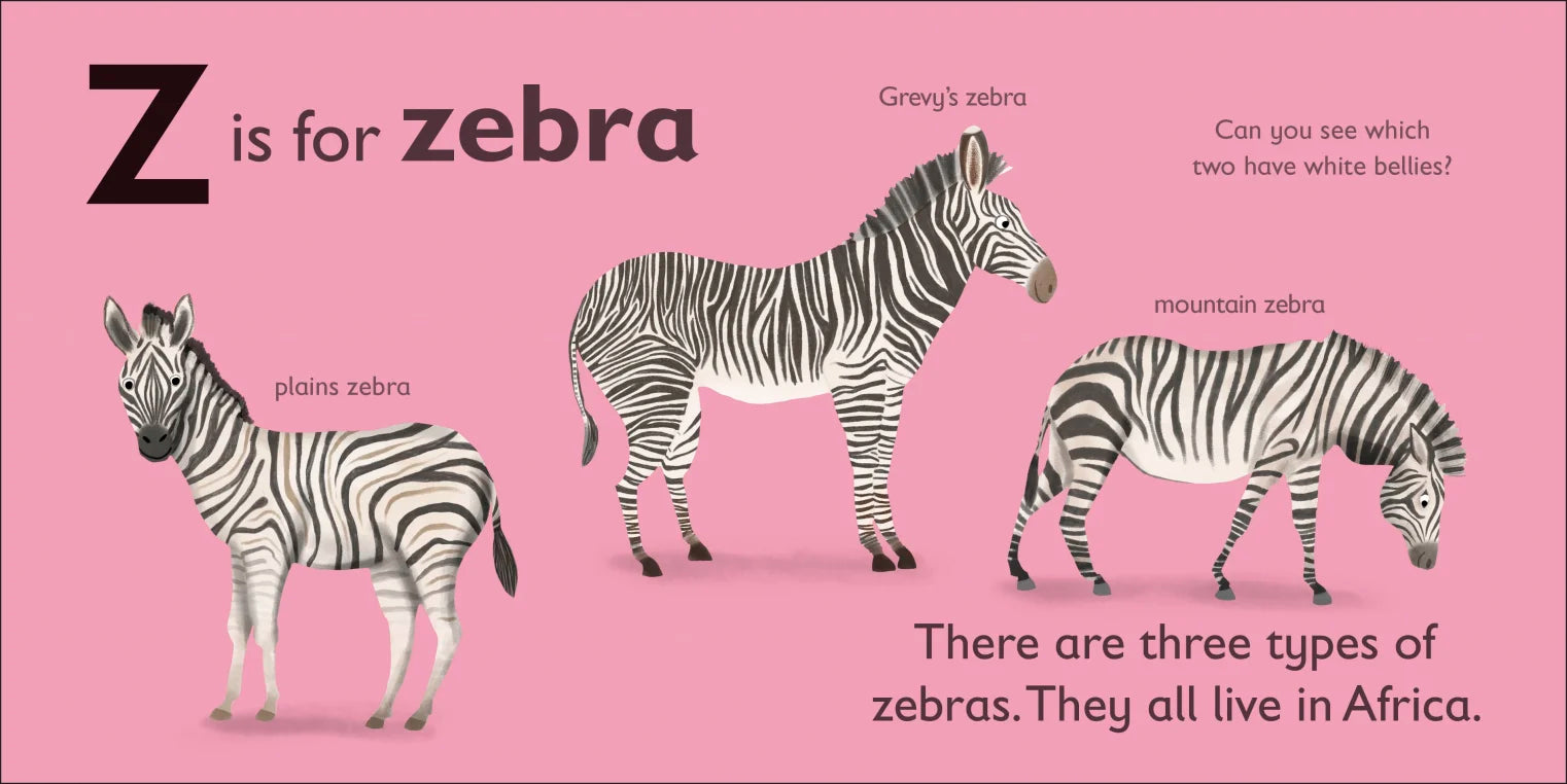 DK - Z is for Zebra - BambiniJO | Buy Online | Jordan