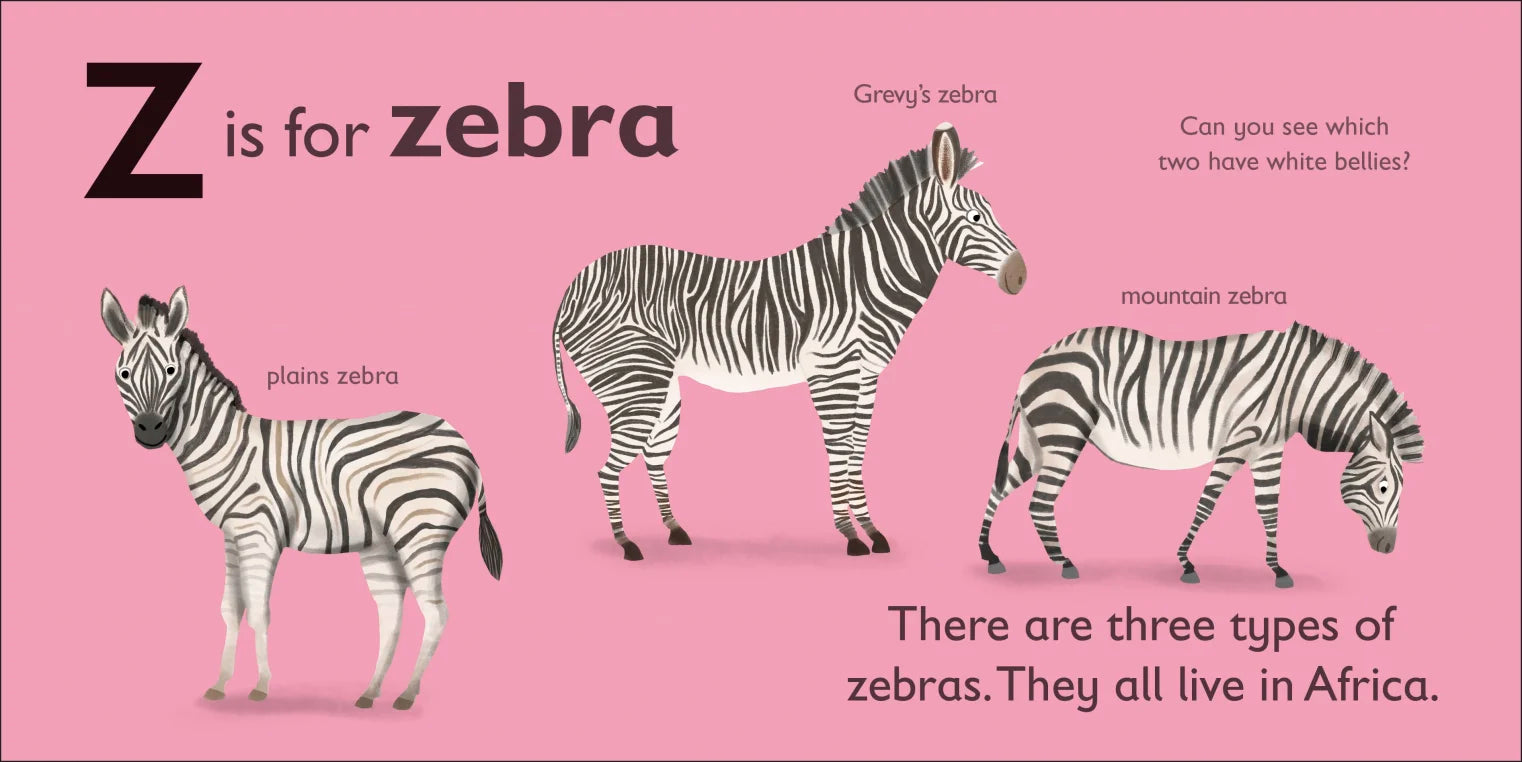 DK - Z is for Zebra DK - Z is for Zebra