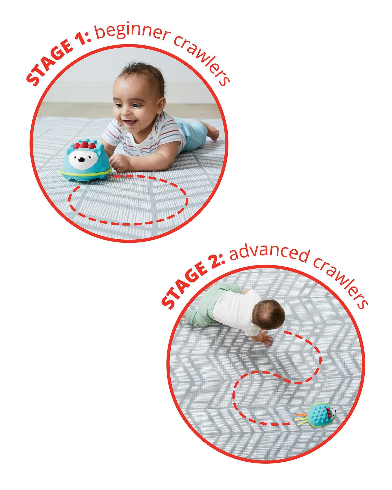 Explore & More Hello Hedgehog Crawl Toy Explore & More Hello Hedgehog Crawl Toy
