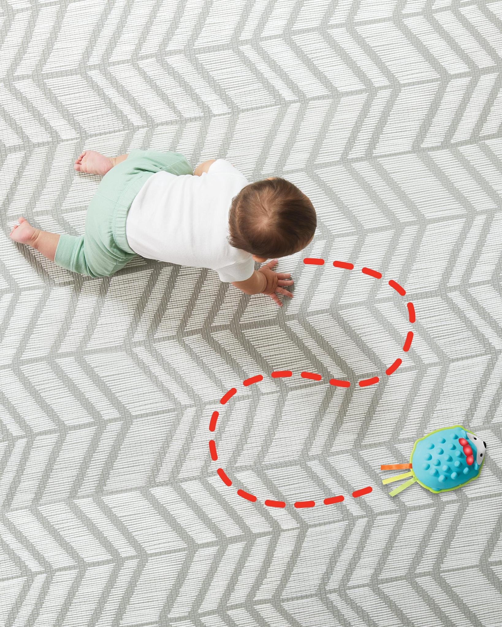 Explore & More Hello Hedgehog Crawl Toy Explore & More Hello Hedgehog Crawl Toy