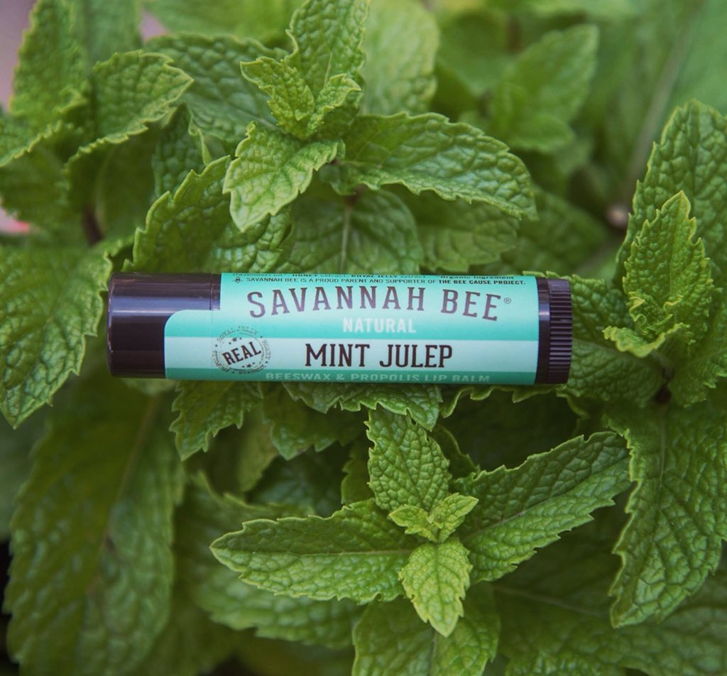 MINT JULEP LIP BALM (4.2G) - BambiniJO | Buy Online | Jordan