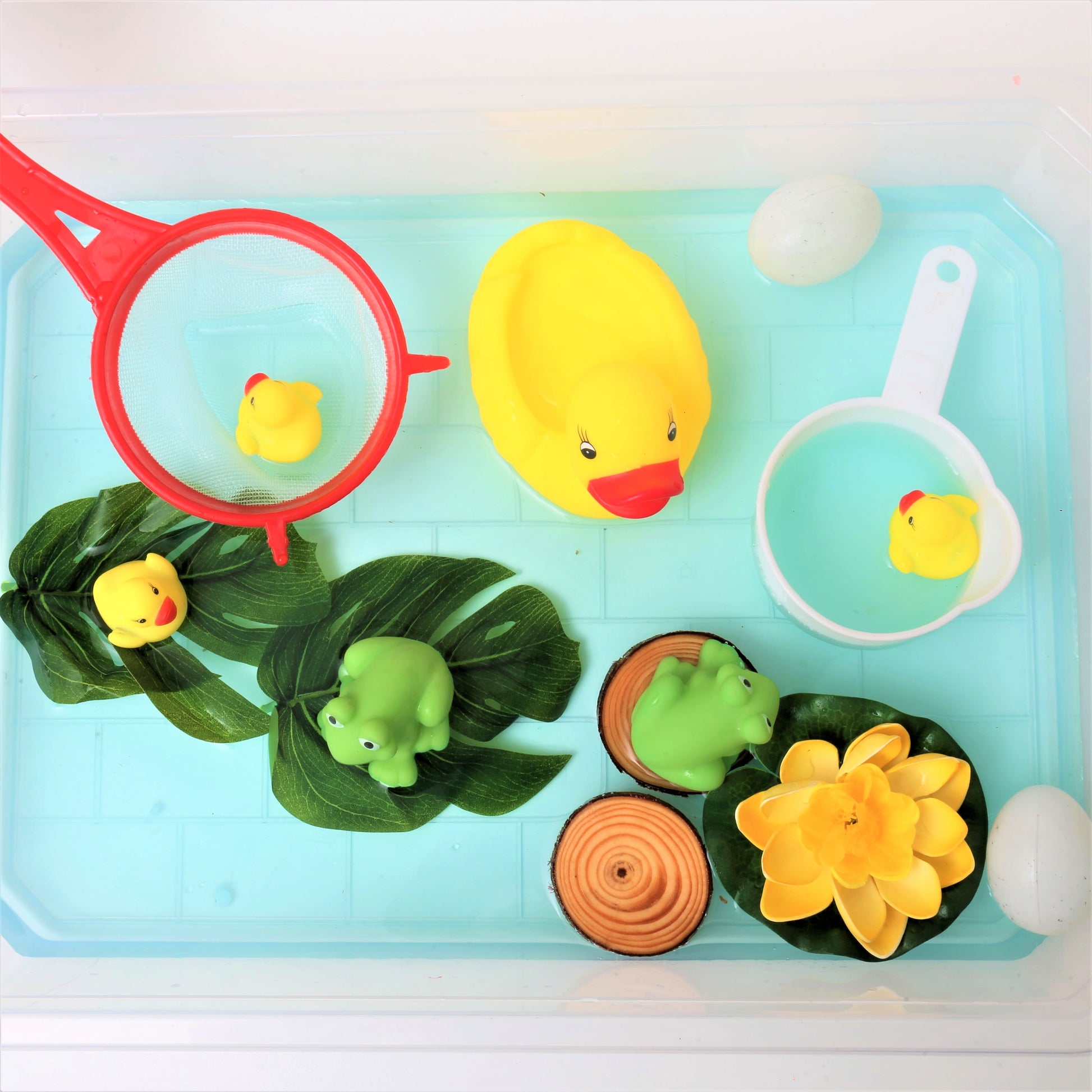 Sensory Ducks & Frog Kit Bucket - BambiniJO | Buy Online | Jordan