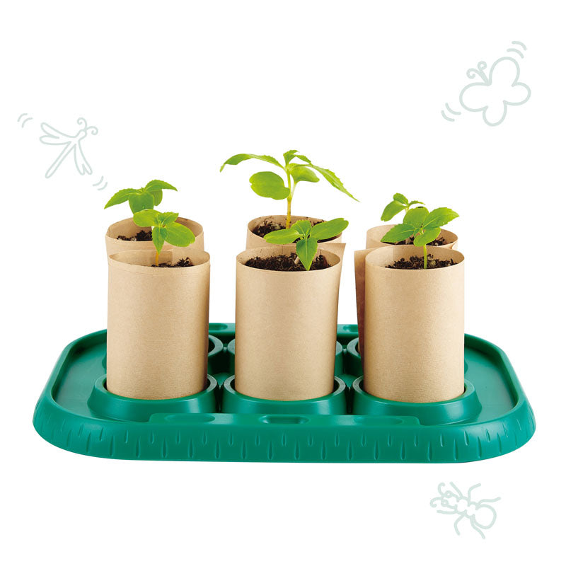 Hape - Gardeners Greenhouse Hape - Gardeners Greenhouse
