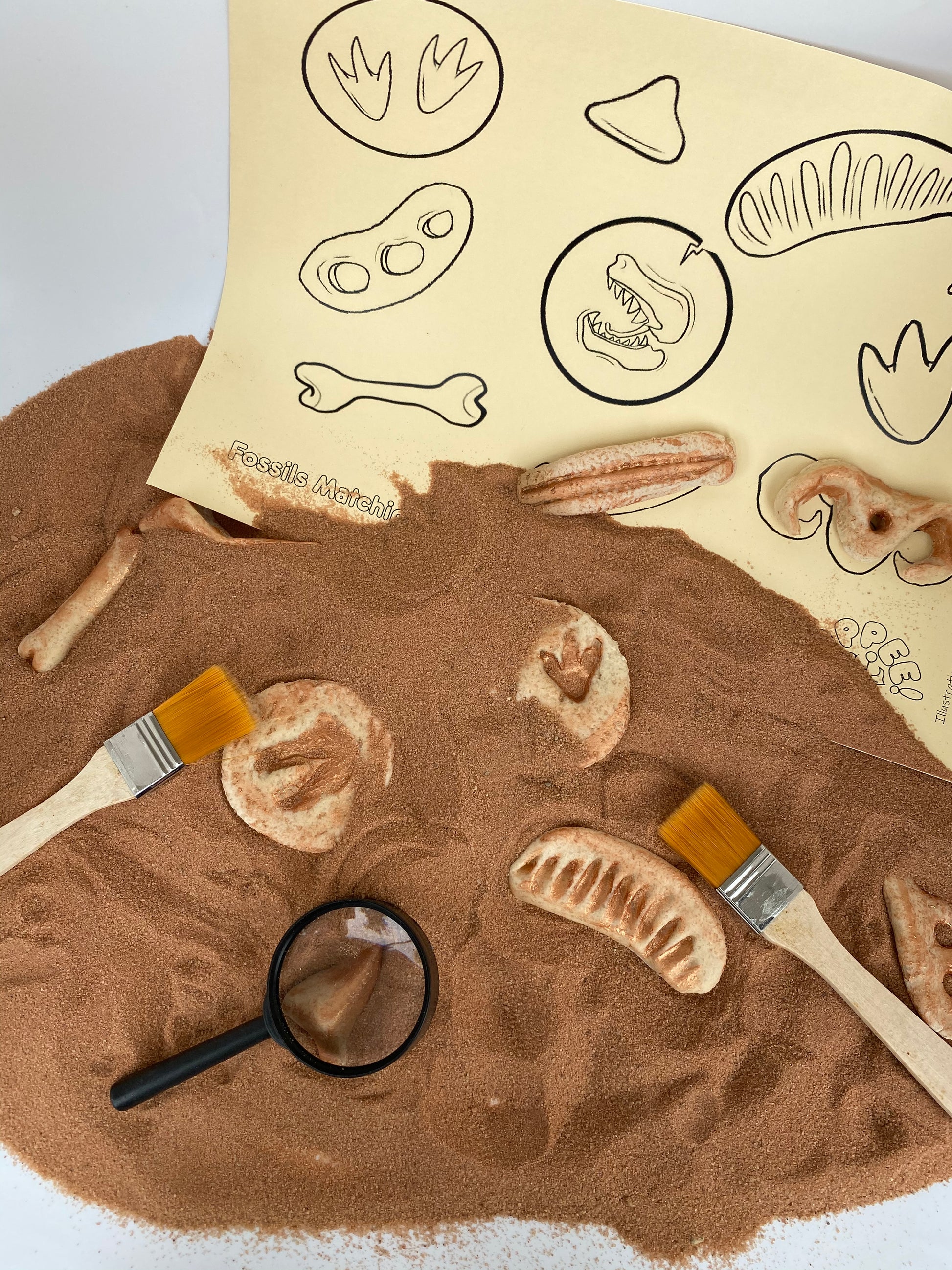 Sensory Dinosaur Fossil Kit by Rahma - BambiniJO | Buy Online | Jordan