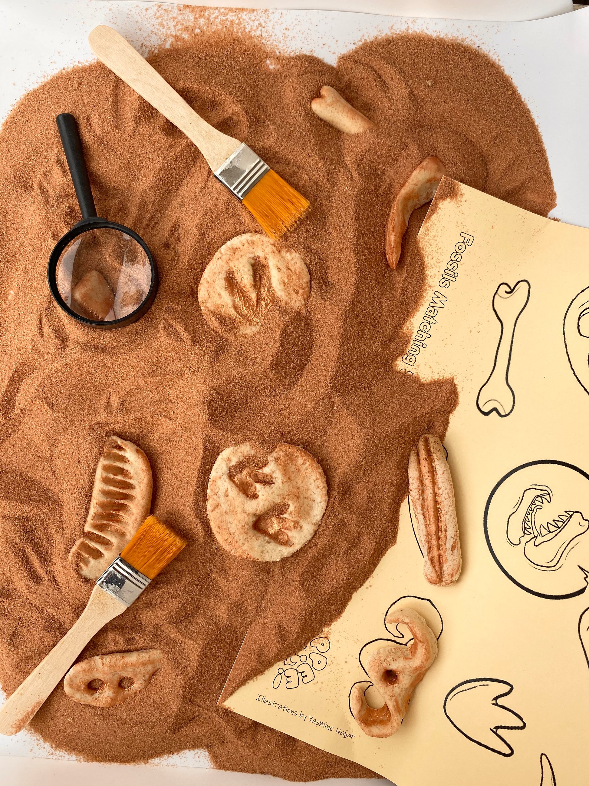 Sensory Dinosaur Fossil Kit by Rahma - BambiniJO | Buy Online | Jordan