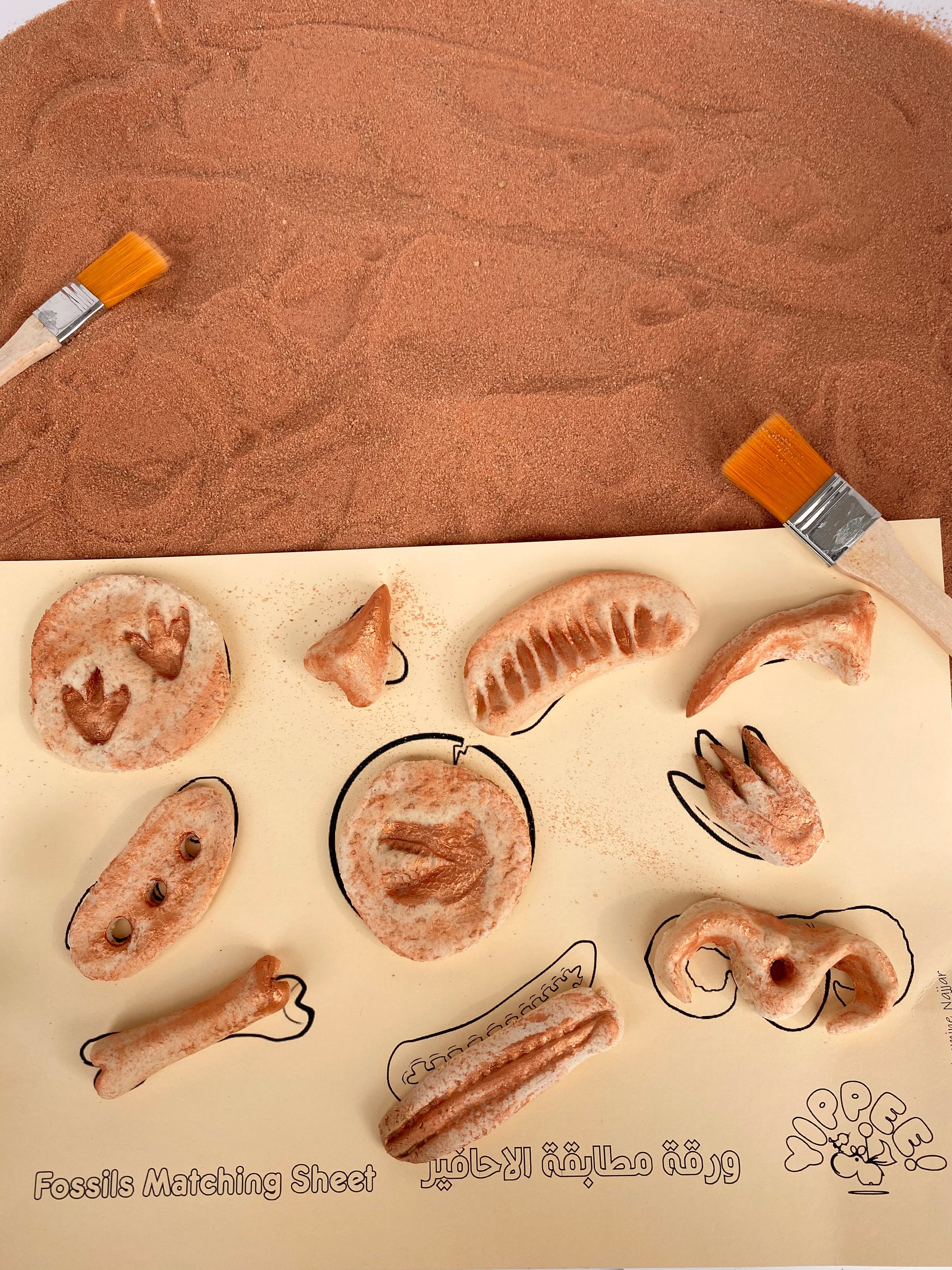 Sensory Dinosaur Fossil Kit by Rahma - BambiniJO | Buy Online | Jordan