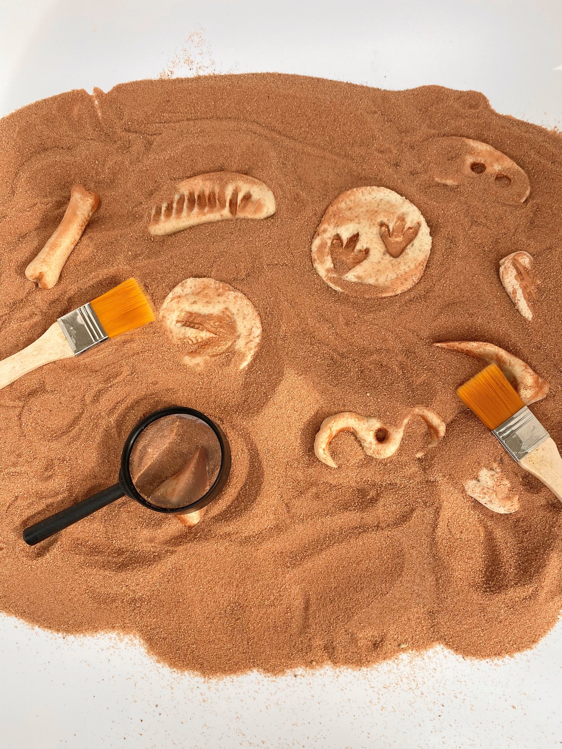 Sensory Dinosaur Fossil Kit by Rahma - BambiniJO | Buy Online | Jordan