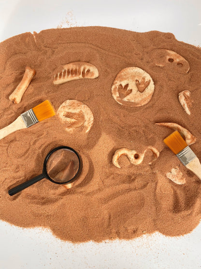 Sensory Dinosaur Fossil Kit by Rahma - BambiniJO | Buy Online | Jordan