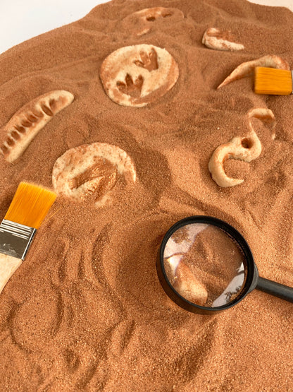 Sensory Dinosaur Fossil Kit by Rahma - BambiniJO | Buy Online | Jordan