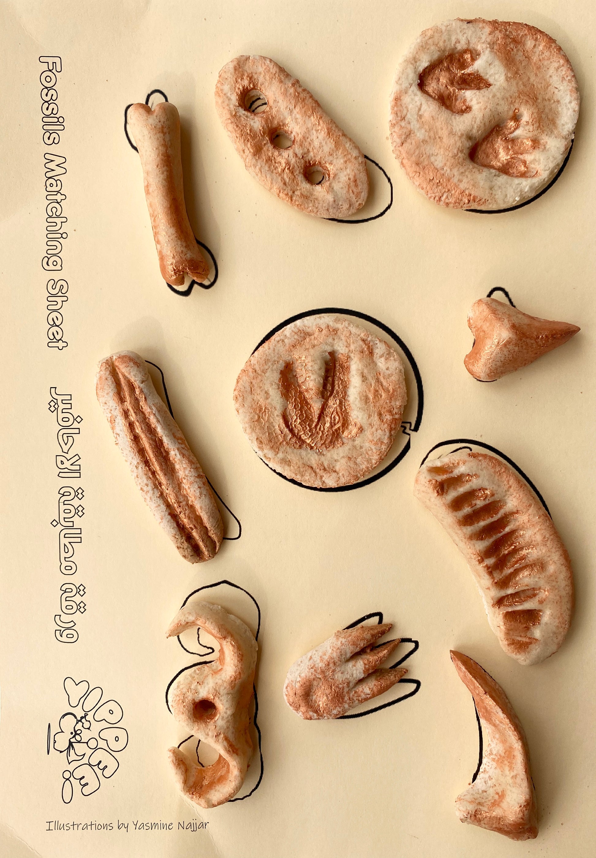 Yippee - Sensory Dinosaur Fossil Kit Yippee - Sensory Dinosaur Fossil Kit