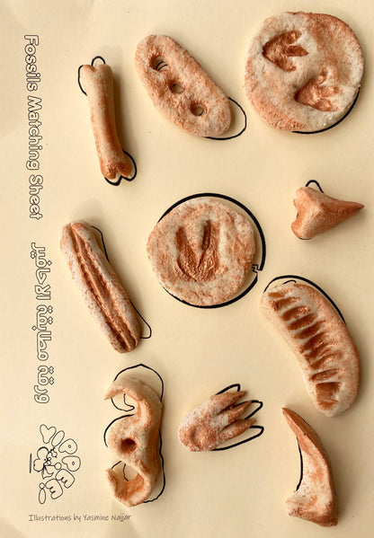 Sensory Dinosaur Fossil Kit by Rahma - BambiniJO | Buy Online | Jordan