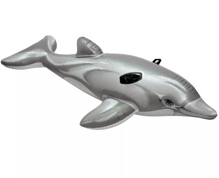 Intex - Dolphin Ride-On | Age 3+ - BambiniJO | Buy Online | Jordan