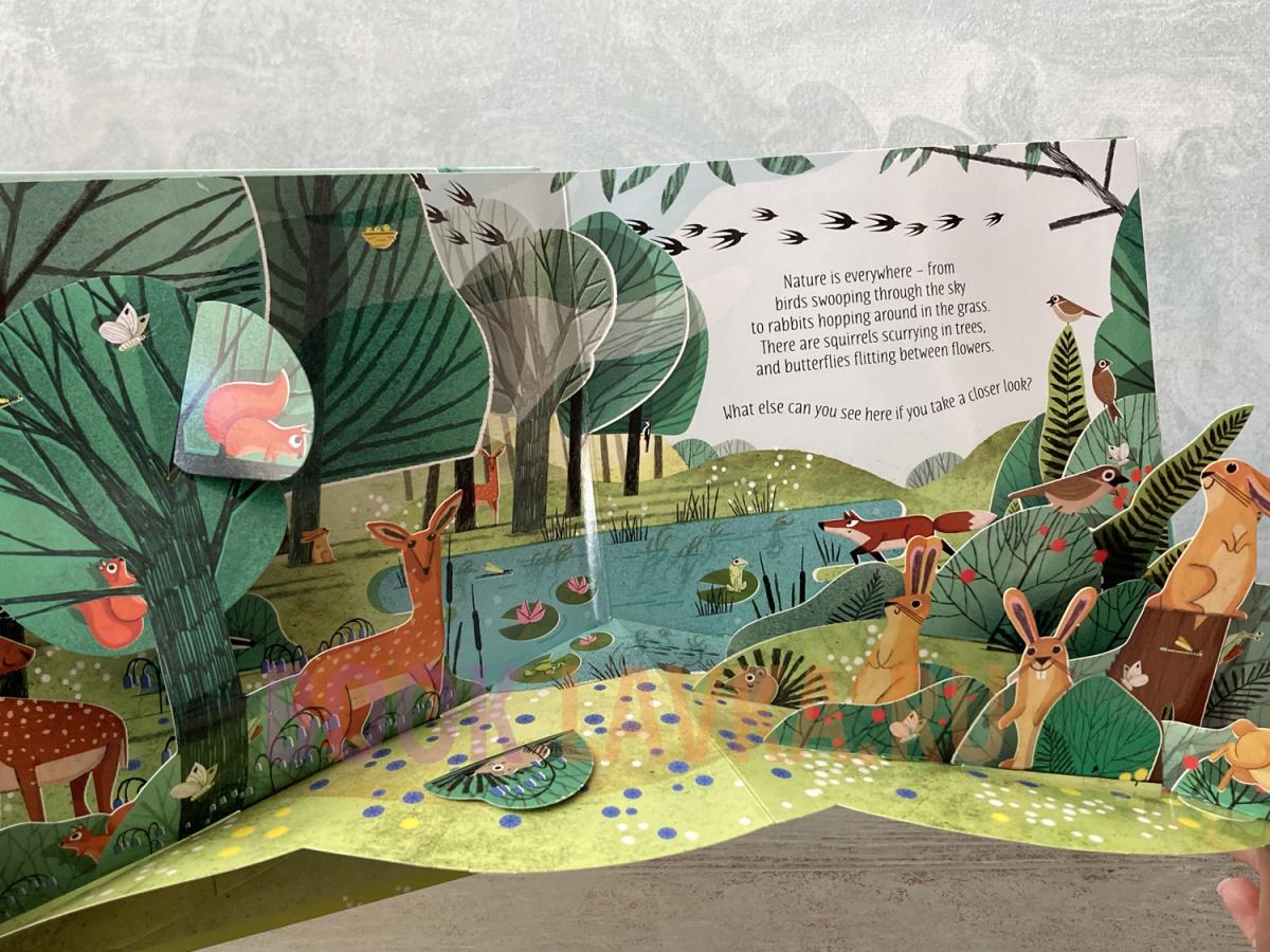 Pop-up Nature Pop-up Nature