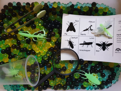 Sensory Insect Orbeez by Mama Sima - BambiniJO | Buy Online | Jordan
