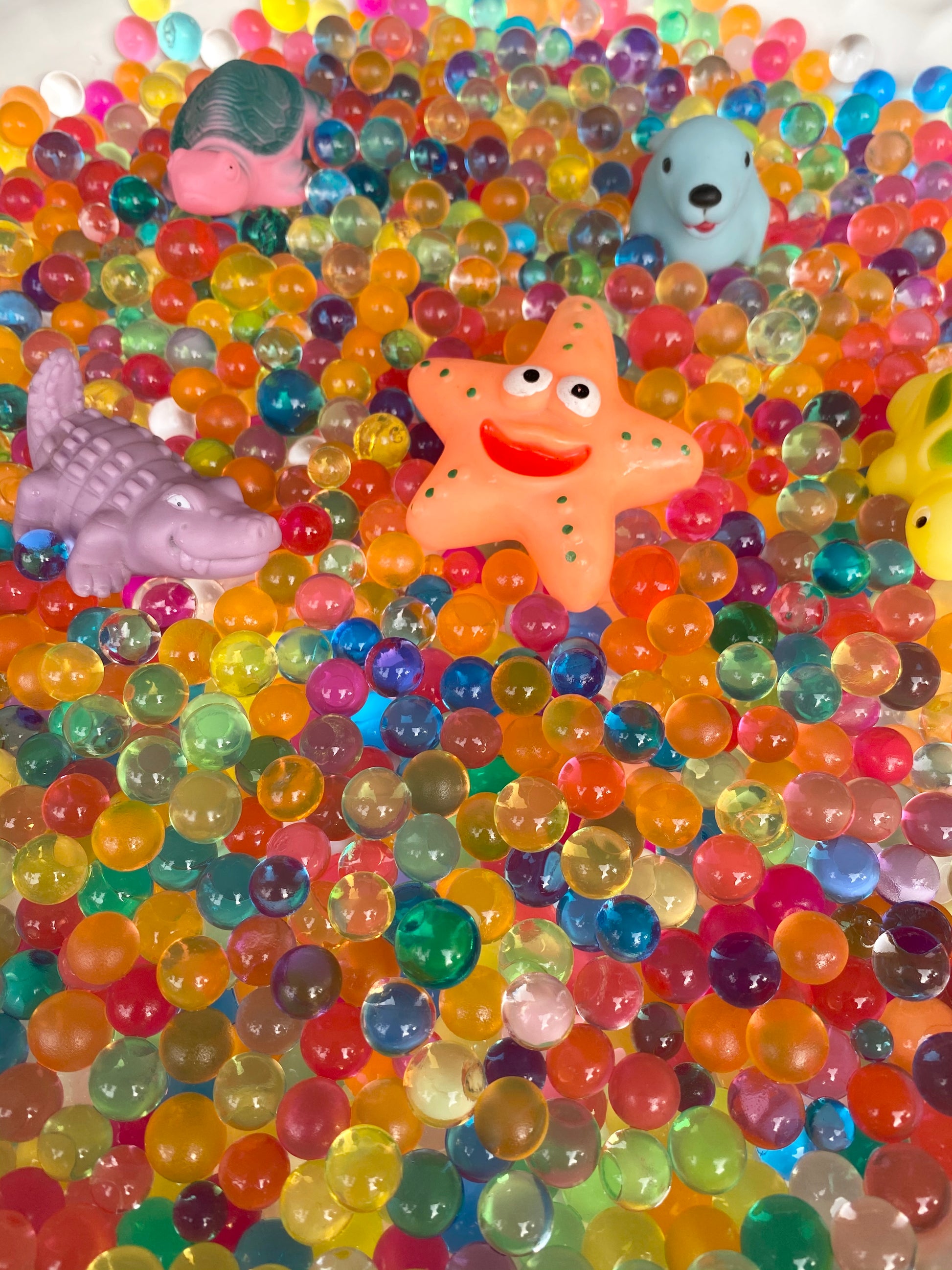 Yippee - Sensory Jumbo Orbeez Box 2.5kg Yippee - Sensory Jumbo Orbeez Box 2.5kg