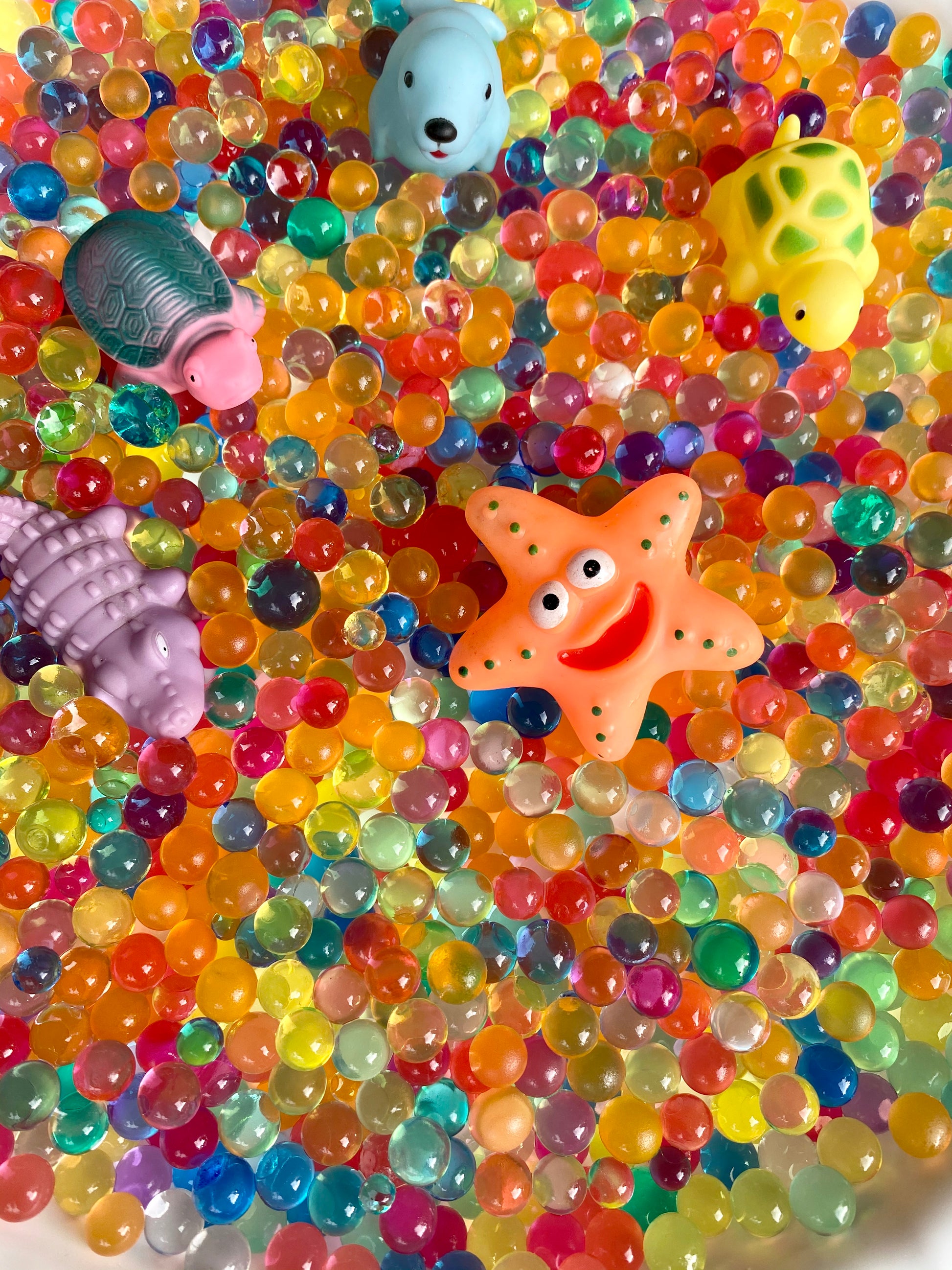 Yippee - Sensory Jumbo Orbeez Box 2.5kg Yippee - Sensory Jumbo Orbeez Box 2.5kg