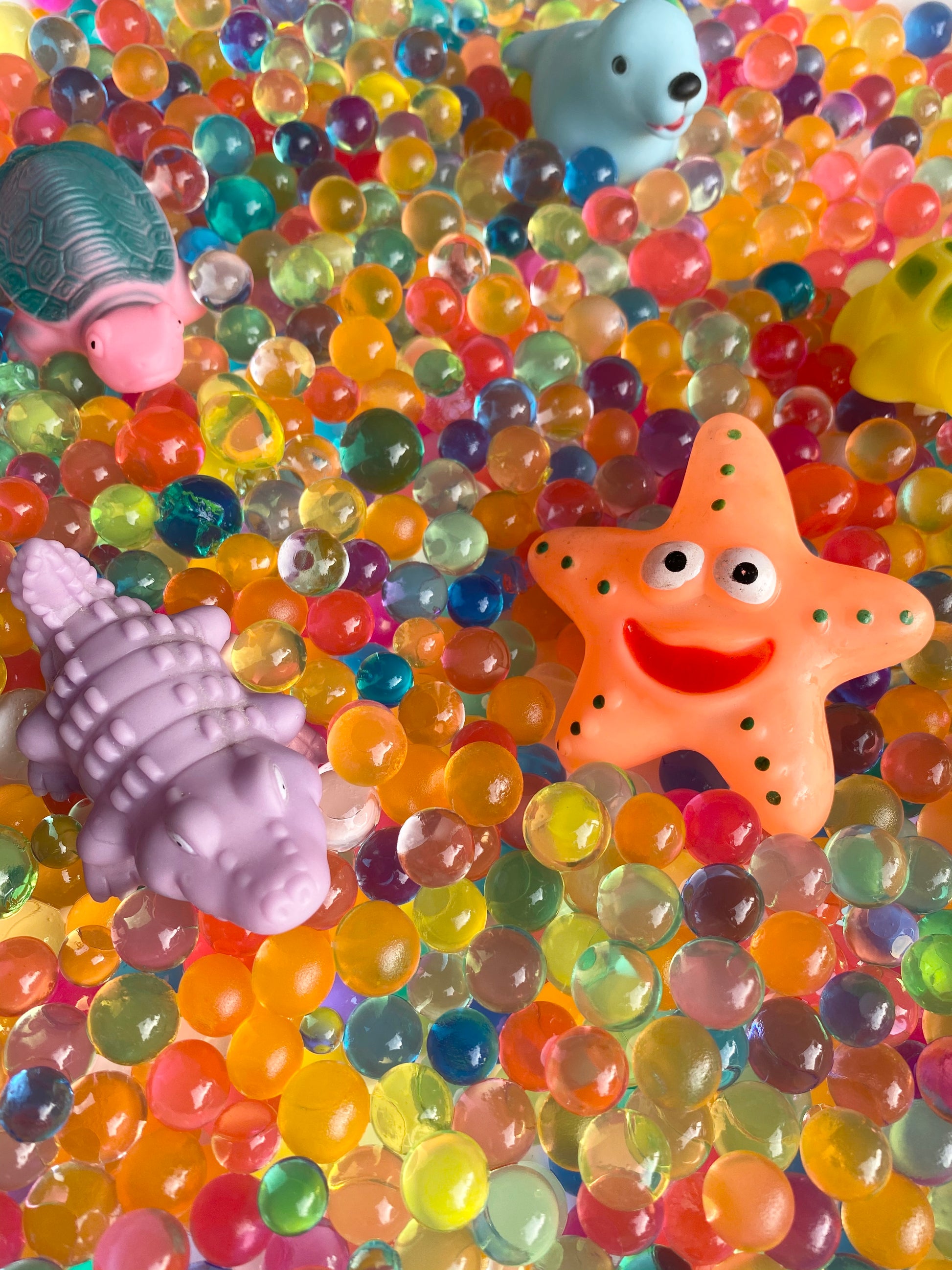 Yippee - Sensory Jumbo Orbeez Box 2.5kg Yippee - Sensory Jumbo Orbeez Box 2.5kg