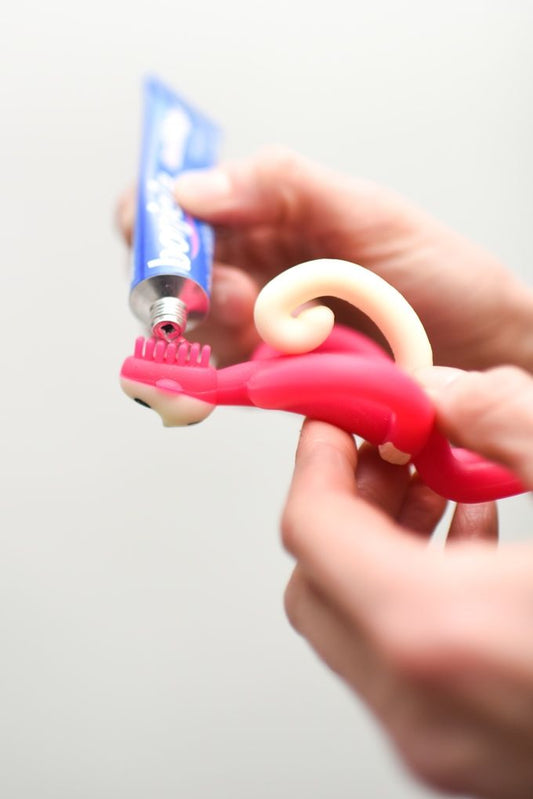 Matchstick Monkey Rubine Teething Toy and Gel Applicator — BambiniJO Jordan