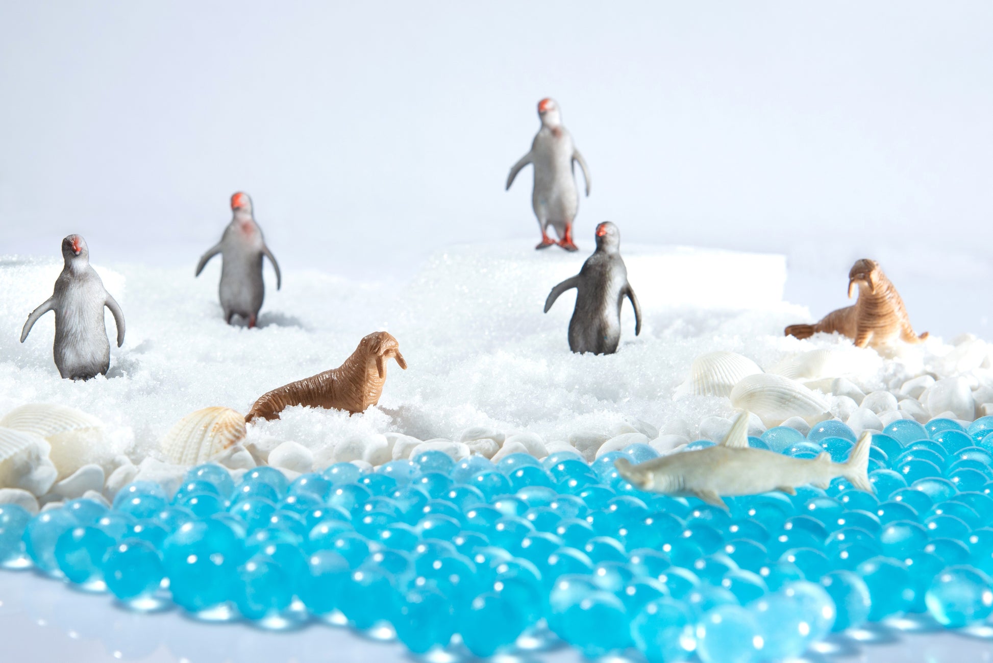 YIPPEE! Sensory Penguins Kit - BambiniJO | Buy Online | Jordan