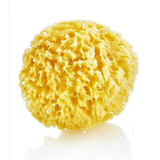 BabyJem - Natural Sea Sponge - BambiniJO | Buy Online | Jordan